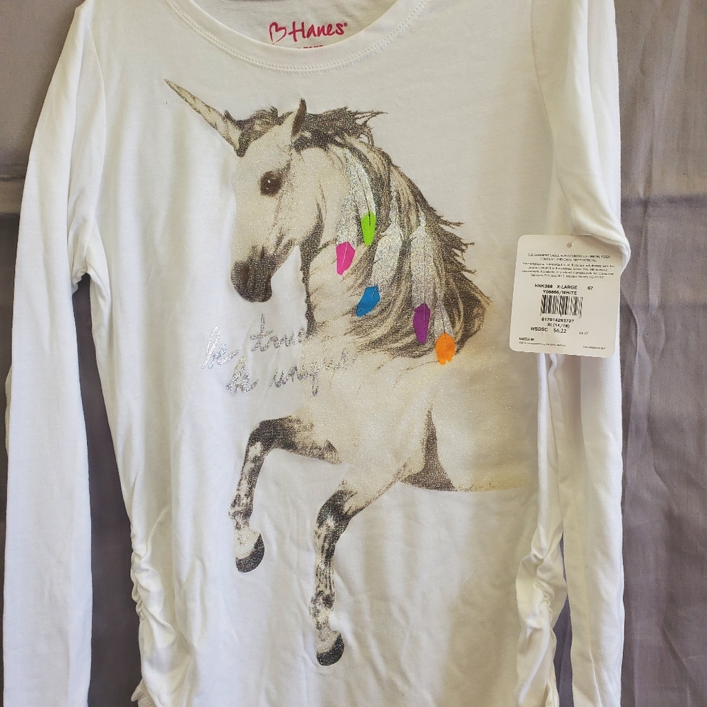 Hanes 1st quality long sleeve unicorn shirts xl
